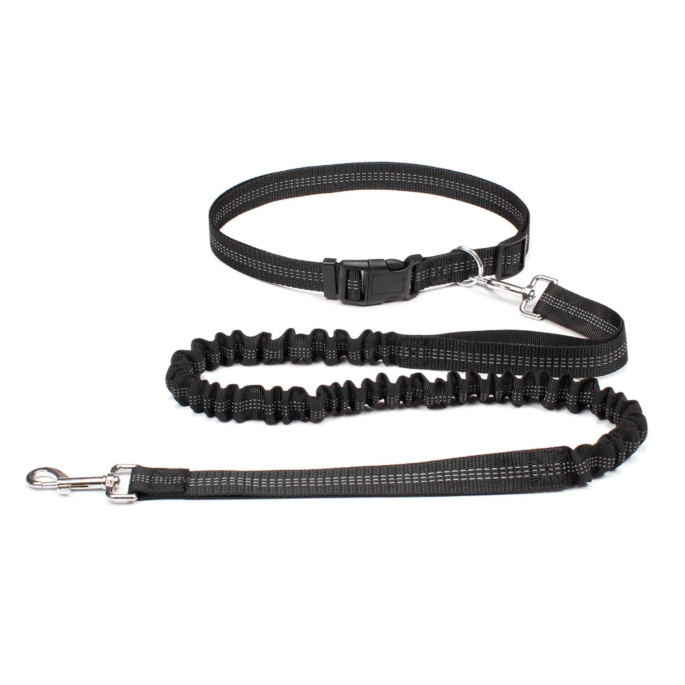 RunPaw™ Hands-Free Dog Leash