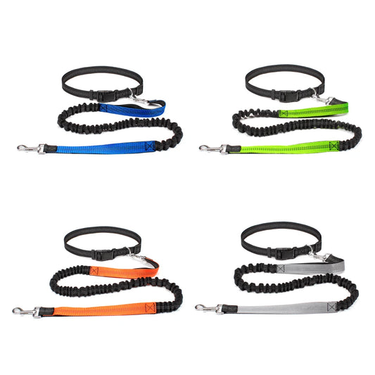 RunPaw™ Hands-Free Dog Leash
