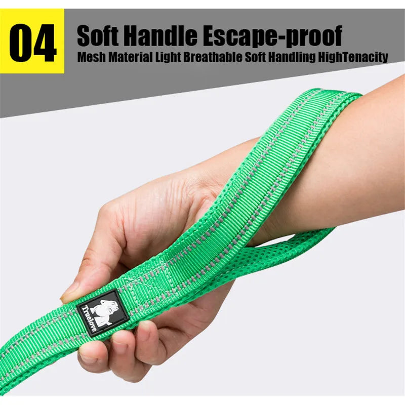 TrueWalk™ Premium Reflective Pet Leash