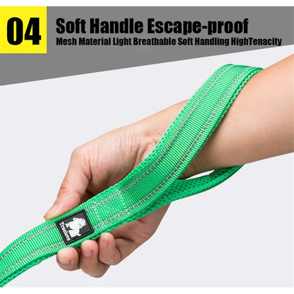 TrueWalk™ Premium Reflective Pet Leash