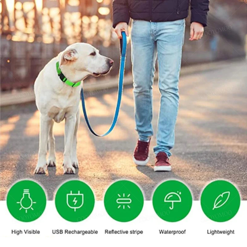 LumiGuard™ USB Rechargeable LED Dog Collar