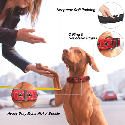 Reflective Nylon Dog Collar – Soft Padded, Escape-Proof & Adjustable