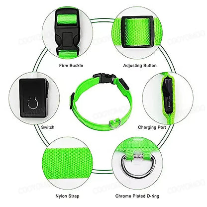 LumiGuard™ USB Rechargeable LED Dog Collar