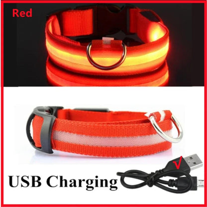 LumiGuard™ USB Rechargeable LED Dog Collar