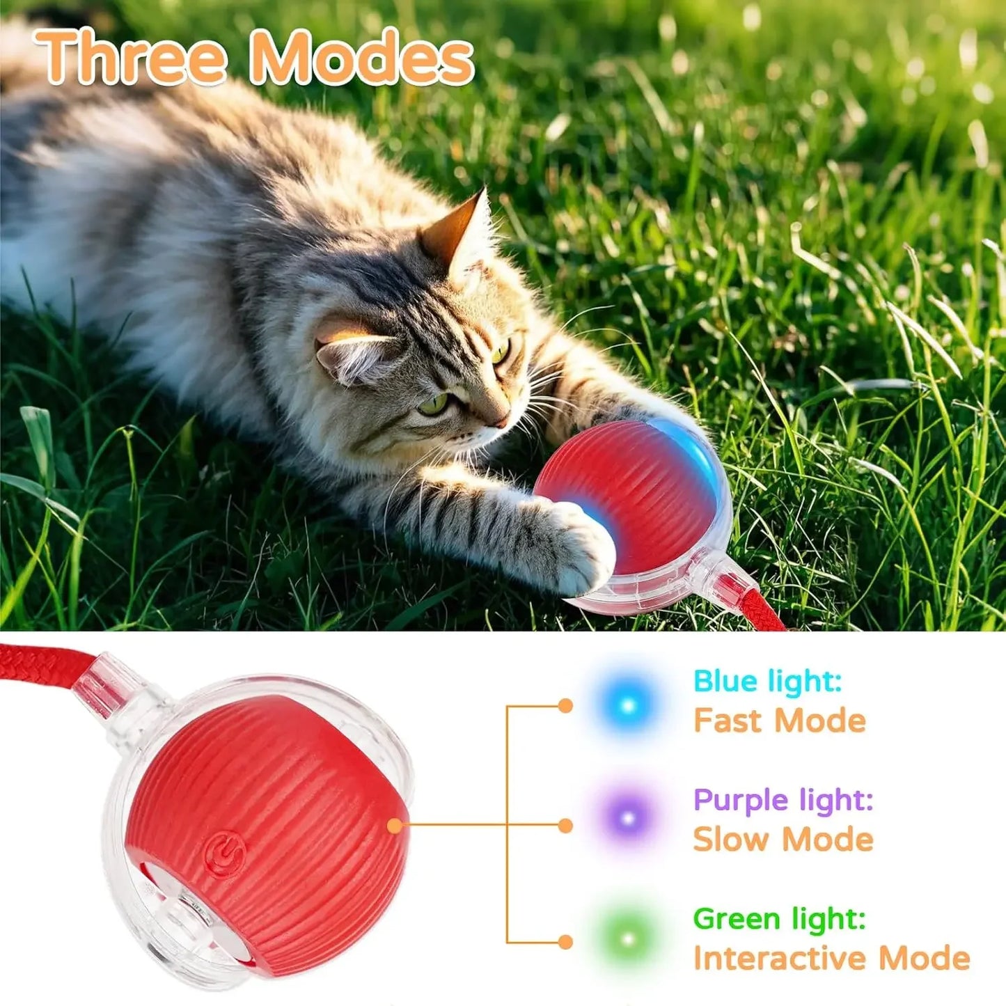 TailChase™ Smart Automatic Rolling Ball with Faux Tail
