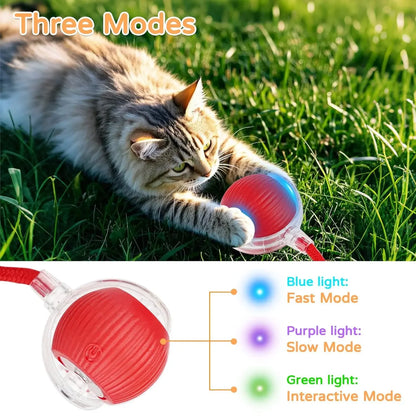 TailChase™ Smart Automatic Rolling Ball with Faux Tail