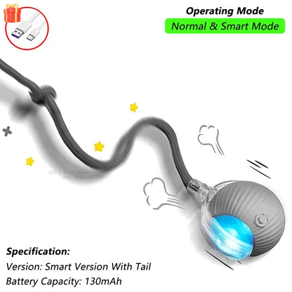 TailChase™ Smart Automatic Rolling Ball with Faux Tail