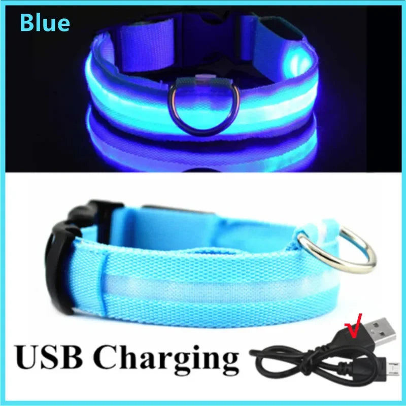 LumiGuard™ USB Rechargeable LED Dog Collar