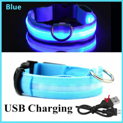 LumiGuard™ USB Rechargeable LED Dog Collar