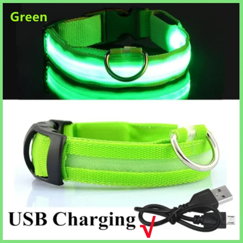LumiGuard™ USB Rechargeable LED Dog Collar