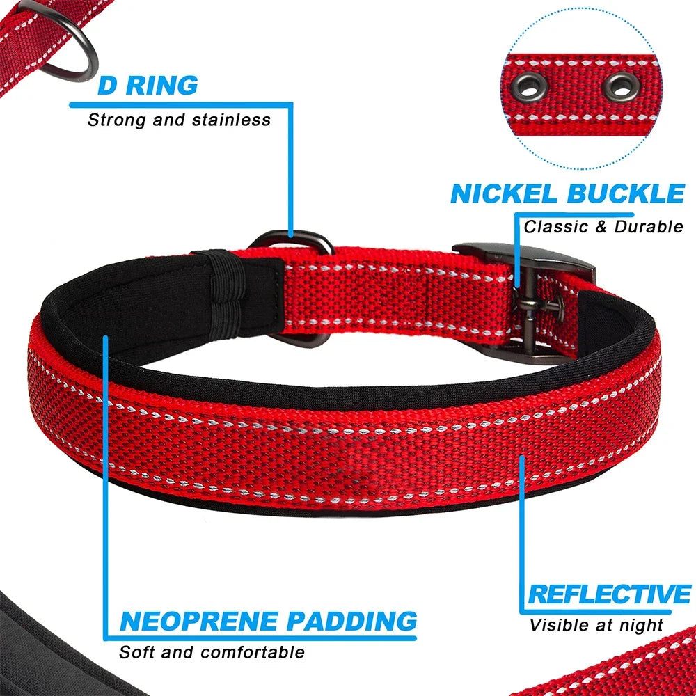 Reflective Nylon Dog Collar – Soft Padded, Escape-Proof & Adjustable