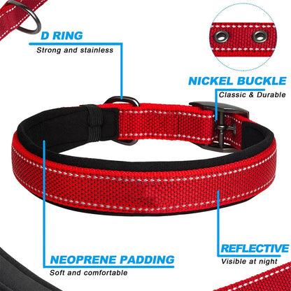 Reflective Nylon Dog Collar – Soft Padded, Escape-Proof & Adjustable