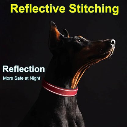 Reflective Nylon Dog Collar – Soft Padded, Escape-Proof & Adjustable