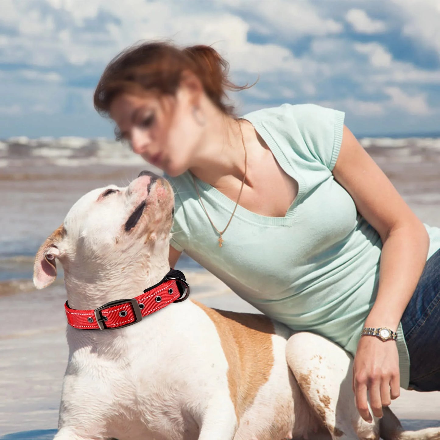 Reflective Nylon Dog Collar – Soft Padded, Escape-Proof & Adjustable