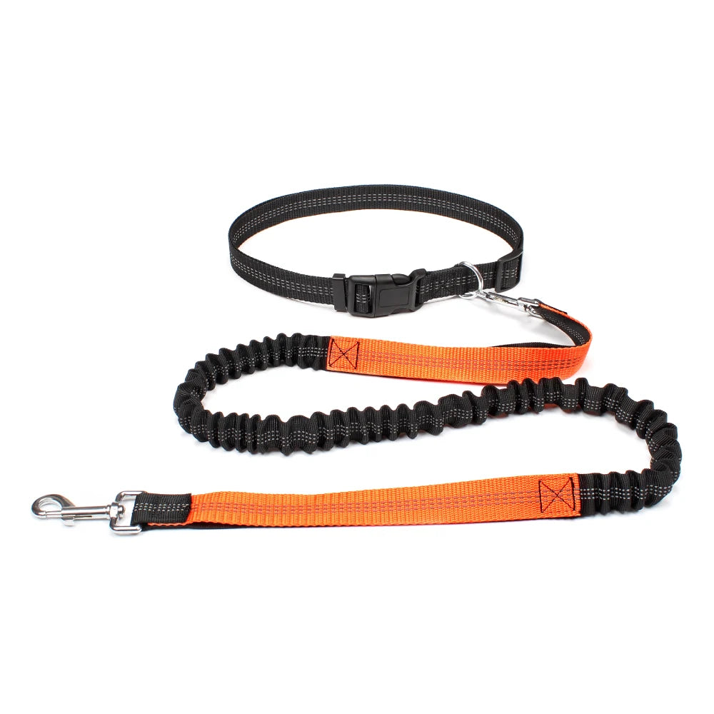 RunPaw™ Hands-Free Dog Leash