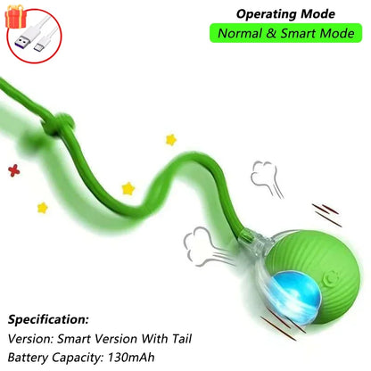 TailChase™ Smart Automatic Rolling Ball with Faux Tail