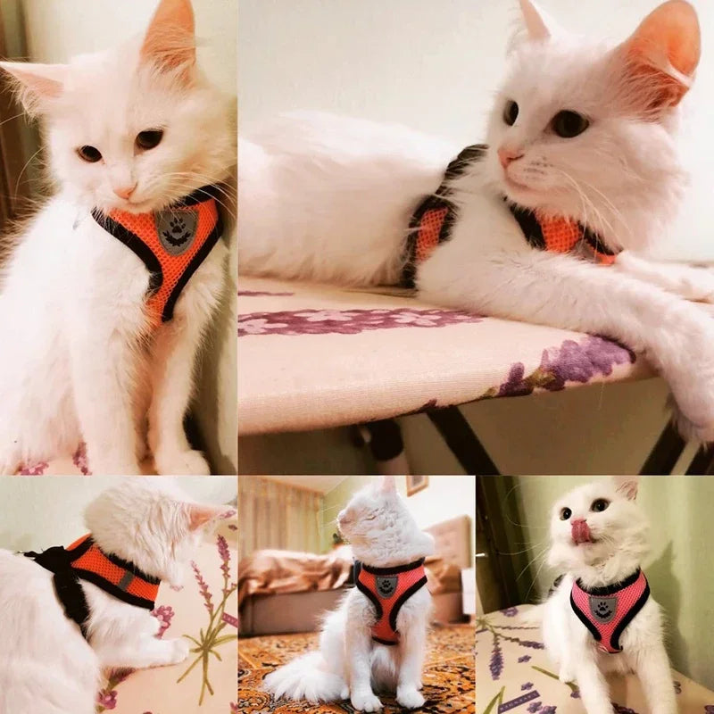 ComfortWalk™ No-Pull Mesh Pet Harness