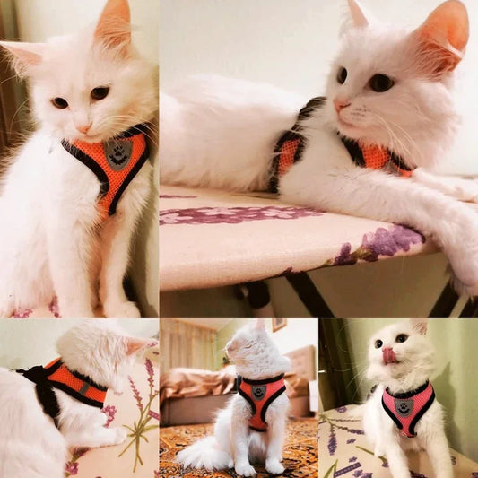 ComfortWalk™ No-Pull Mesh Pet Harness