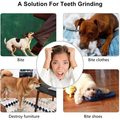ChewN'Treat™ Interactive Dental Care & Treat Feeder Ball