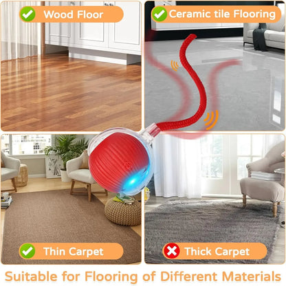 TailChase™ Smart Automatic Rolling Ball with Faux Tail