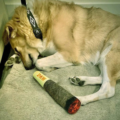 MintPaw™ Interactive Squeaky Dog Toy