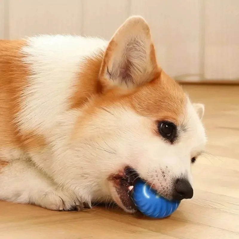 SmartBounce™ Automatic Moving & Bouncing Dog Toy Ball