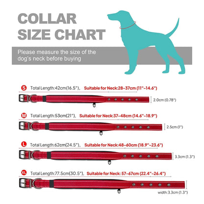 Reflective Nylon Dog Collar – Soft Padded, Escape-Proof & Adjustable
