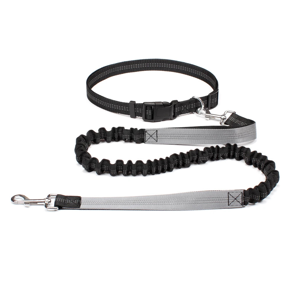RunPaw™ Hands-Free Dog Leash