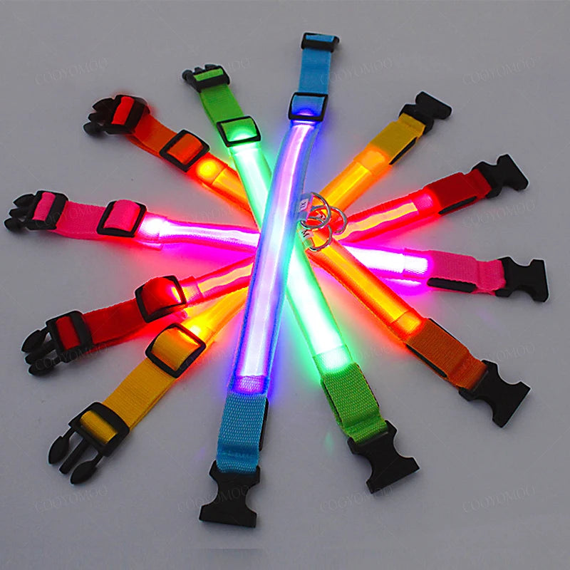LumiGuard™ USB Rechargeable LED Dog Collar