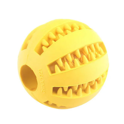 ChewN'Treat™ Interactive Dental Care & Treat Feeder Ball