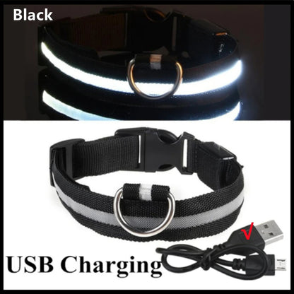LumiGuard™ USB Rechargeable LED Dog Collar