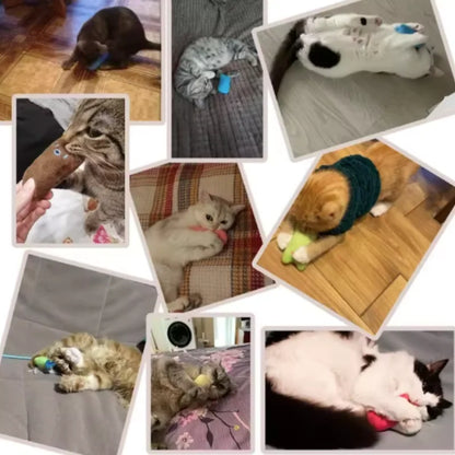 Catnip PlayBite™ Interactive Plush Cat Toy
