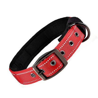 Reflective Nylon Dog Collar – Soft Padded, Escape-Proof & Adjustable