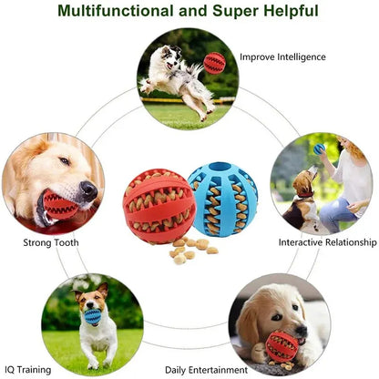 ChewN'Treat™ Interactive Dental Care & Treat Feeder Ball