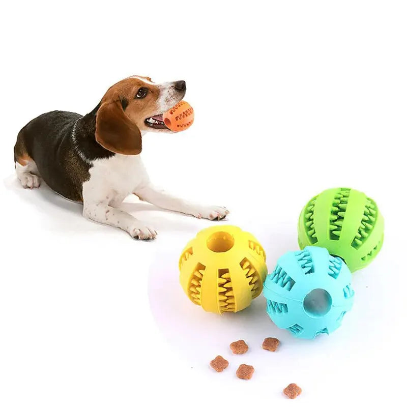 ChewN'Treat™ Interactive Dental Care & Treat Feeder Ball