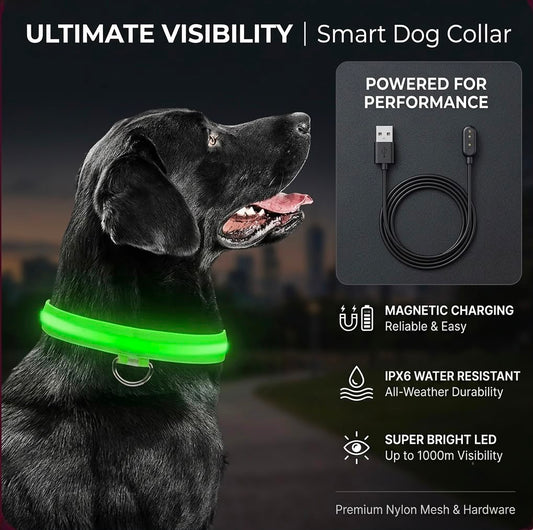 LumiGuard™ USB Rechargeable LED Dog Collar